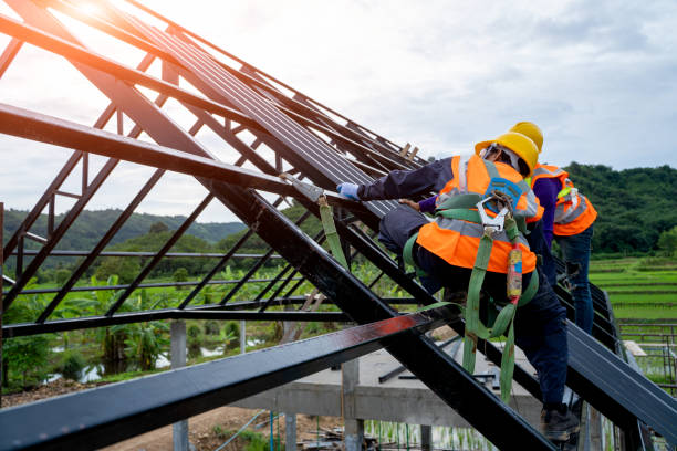 Best Storm Damage Roof Repair  in Albany, MO