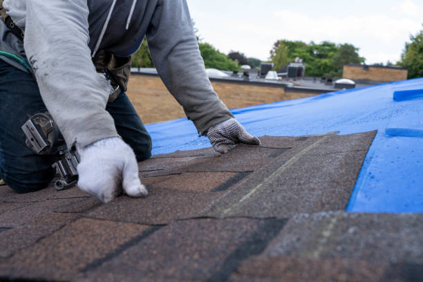 Roof Installation Near Me in Albany, MO