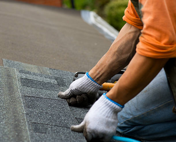 Best Roofing Contractor Near Me  in Albany, MO
